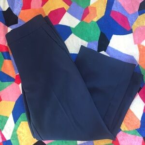 Ann Taylor Factory Blue Trousers